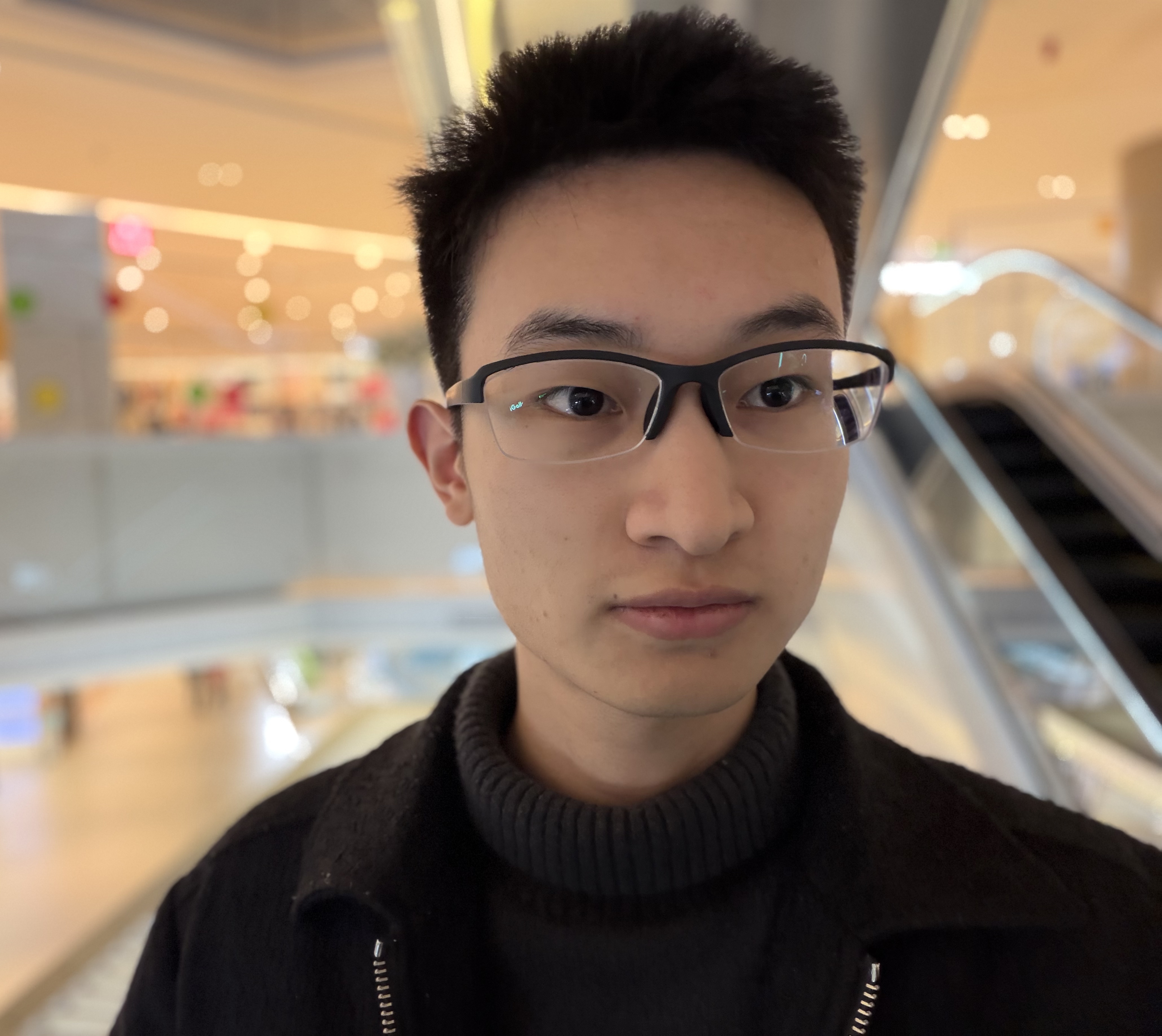 Portrait of Yi Wang